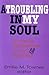 A Troubling in My Soul (Bishop Henry McNeal Turner Studies in North American Black R)