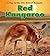 Red Kangaroo (Heinemann Read and Learn: a Day in the Life: Desert Animals)