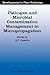 Pathogen and Microbial Contamination Management in Micropropagation (Developments in Plant Pathology, 12)