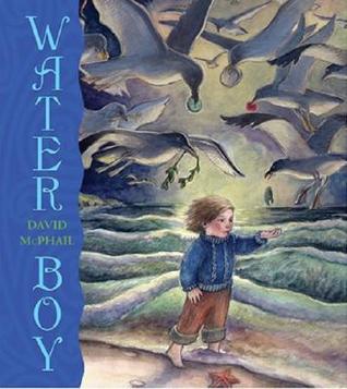 Water Boy (Hardcover)