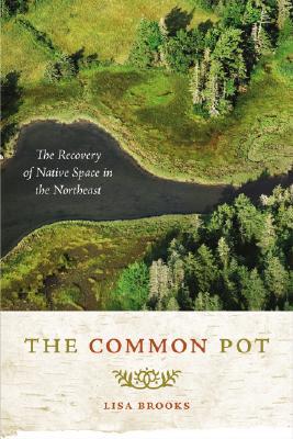 The Common Pot: The Recovery of Native Space in the Northeast (Indigenous Americas)