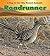 Roadrunner (Heinemann Read and Learn: a Day in the Life: Desert Animals)
