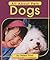 Dogs (All About Pets)