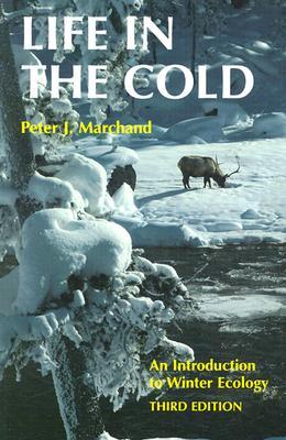 Life in the Cold: An Introduction to Winter Ecology (Paperback)