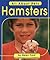Hamsters (All About Pets)