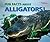 Fun Facts About Alligators!