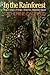 In the Rainforest by Catherine Caufield