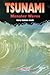 Tsunami: Monster Waves (American Disasters)