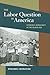 The Labor Question in America: Economic Democracy in the Gilded Age (Working Class in American History (Paperback))