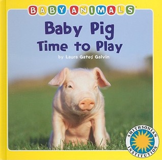 Baby Pig Time to Play (Board book)