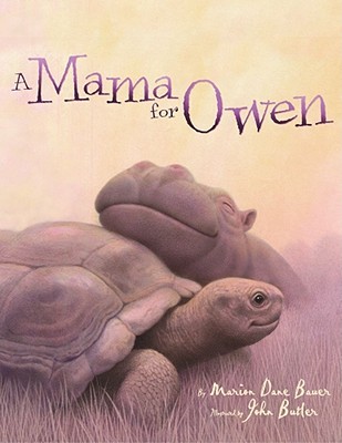 A Mama for Owen (Hardcover)