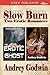 Slow Burn: Two Erotic Romances [The Erotic Ghost, Lady Evil]