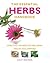 Essential Herbs Handbook by Lesley Bremness