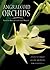 Angraecoid Orchids: Species...