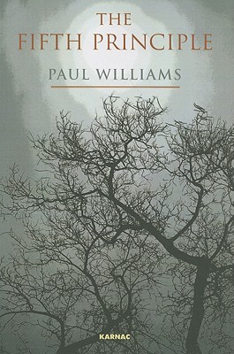 The Fifth Principle (Paperback)