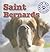 St. Bernards