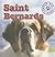 St. Bernards by Maria Nelson