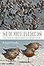 Shorebirds of the Northern Hemisphere by Richard Chandler