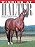 Winning at Halter by Lynda Bloom Layne