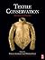 Textile Conservation (Routledge Series in Conservation and Museology)