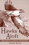 Hawks Aloft