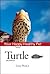 Turtle by Lenny Flank Jr.