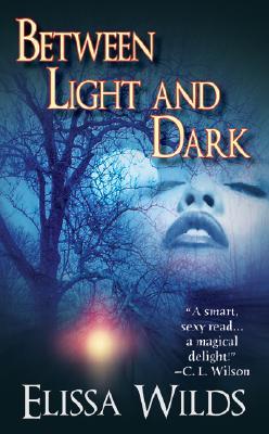 Between Light and Dark (Paperback)