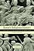 Rome's Religious History: Livy, Tacitus and Ammianus on their Gods (Volume 0)