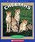 Cheetahs (A True Book)