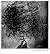 Roger Ballen by Robert A. Sobieszek