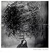 Roger Ballen: Shadow Chamber Roger Ballen: Shadow Chamber