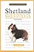 A New Owner's Guide to Shetland Sheepdogs