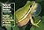 National Audubon Society Pocket Guide to Familiar Reptiles an... by National Audubon Society