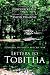Letters to Tobitha by David Primrose