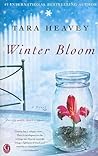 Winter Bloom