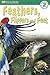 Feathers, Flippers and Feet by Deborah Lock