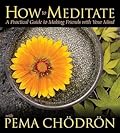 How to Meditate: A Practical Guide to Making Friends with Your Mind