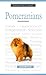 A New Owner's Guide to Pomeranians