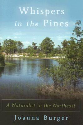Whispers in the Pines: A Naturalist in the Northeast (Paperback)
