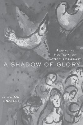 A Shadow of Glory: Reading the New Testament After the Holocaust (Paperback)