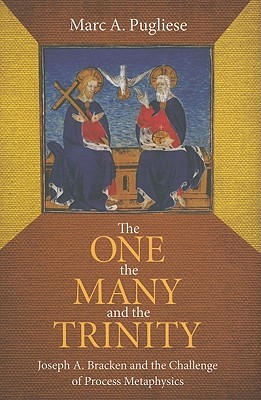 The One, the Many, and the Trinity: Joseph A. Bracken and the Challenge of Process Metaphysics (Hardcover)