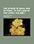 The Voyage of Bran, Son of Febal, to the Land of the Living: An Old Irish Saga, Volume 1