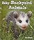 Baby Backyard Animals