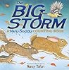 The Big Storm by Nancy Tafuri