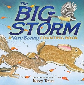 The Big Storm: A Very Soggy Counting Book (Hardcover)