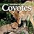 Exploring the World of Coyotes by Tracy C. Read