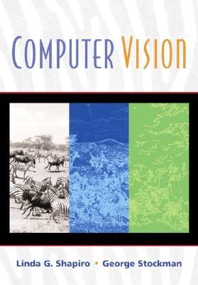 Computer Vision (Paperback)