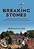 Breaking Stones: A Rollercoaster Ride from the Stone Age to the Internet Age