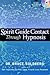 Spirit Guide Contact Through Hypnosis by Bruce Goldberg