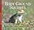 Baby Ground Squirrel